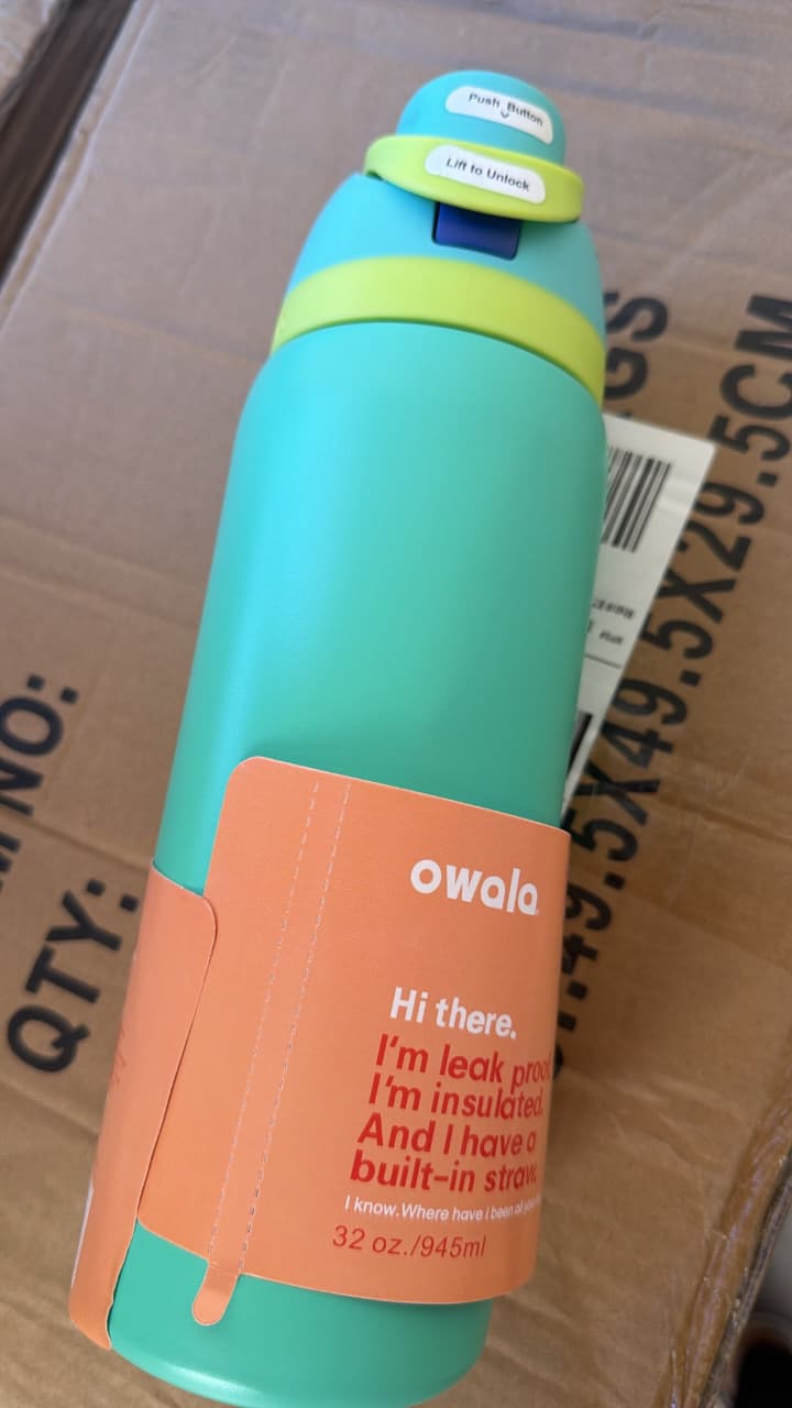 Owala FreeSip Insulated Stainless Steel Water Bottle with Straw, 32 oz, Dreamy Field (Grass Green)