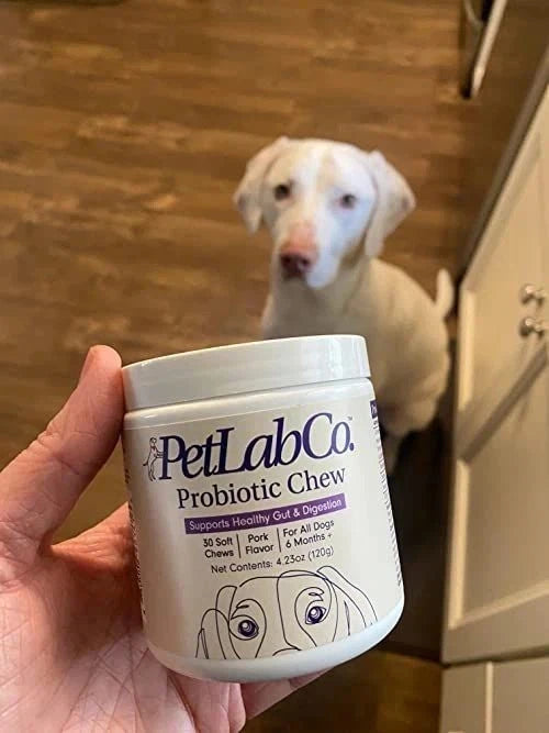 PetLab Co Probiotic Chew Pork Flavor Dogs 12+ weeks 30 soft chews